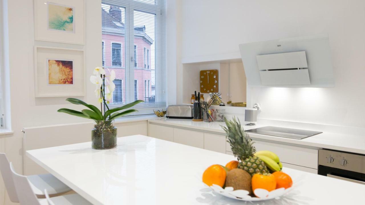 Luxueux Logement Bourgeois De 250 M2 Climatise Lille Exterior photo